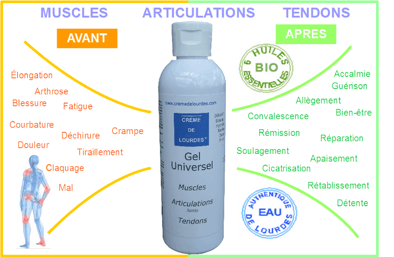 Gel articulaton muscle tendon Creme de Lourdes