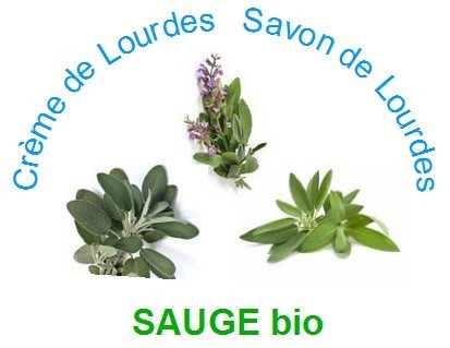 Sauge bio Creme de Lourdes